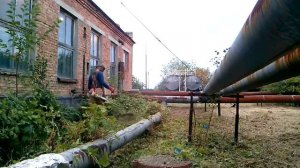 Stihl fs-450 работа по кустарнику.