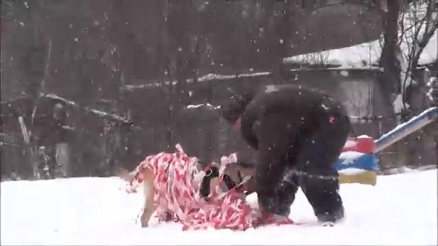 Герта 9 месяцев тренировка смотреть онлайн