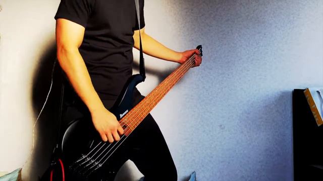 Blink-182 - Dammit || Bass Cover смотреть онлайн