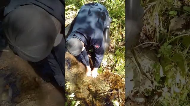 Закладка оплодотворённой икры смотреть онлайн