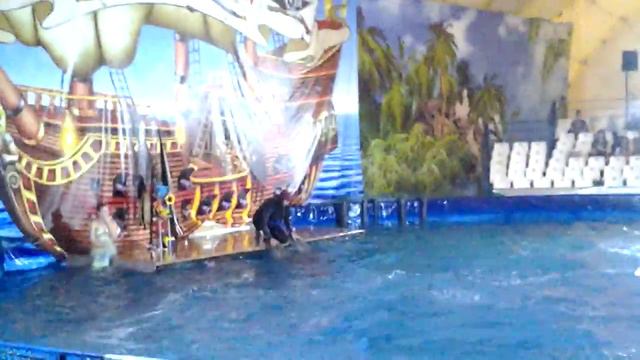 Дильфины карибского моря супер смотреть онлайн