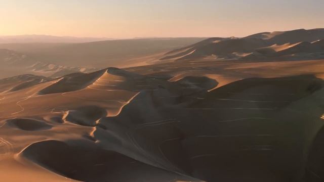 Массовый брак новых IPhone XS и XS Max #iPhoneXS #wylsacom