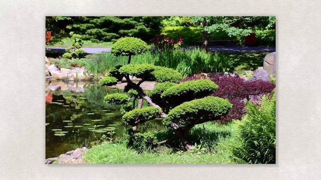 Дизайн и архитектура моего сада. ИЗО. 7 класс смотреть онлайн