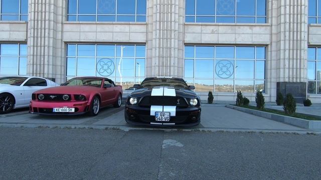 FORD VS FERRARI - მუსტანგური შეკრება смотреть онлайн