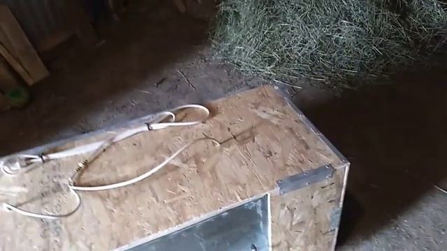 Брудер для цыплят. смотреть онлайн
