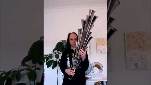 16-tone Chromatic Baritone Schalmei