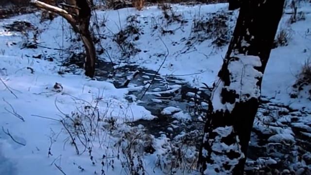 САВЕЛИЙ АД НЕ УЗНАЁТ МАТЬ. ОНА ОТКАЗЫВАЕТСЯ ОТ ЕДЫ