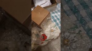 Распаковка оригинала Orto Parisi Terroni из Рив Гоша, как выглядет оригинал