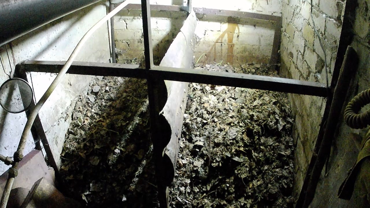 Вермикомпостер своими руками. Ленивая технология вермикомпостирования в домашних условиях смотреть онлайн