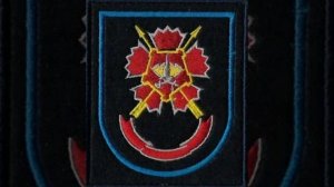 24 отдельная гвардейская бригада специального назначения ГРУ шеврон в/ч 55433 (Новосибирск)