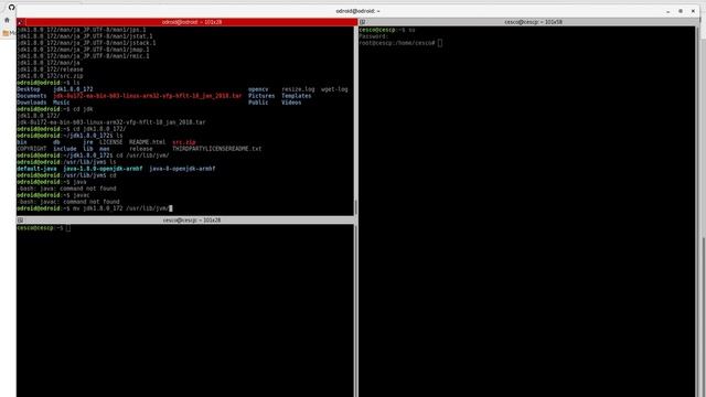 3. Downloading, installing, and configuring Oracle JDK 8 Java on ODROID XU4Q Ubuntu Mate смотреть онлайн