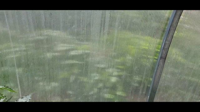 ОБЗОР ОГОРОДА ИЮНЬ/ ВТОРОЙ ЭТАЖ В ДОМЕ/ ДЕЛАЕМ ЛЕСТНИЦУ смотреть онлайн