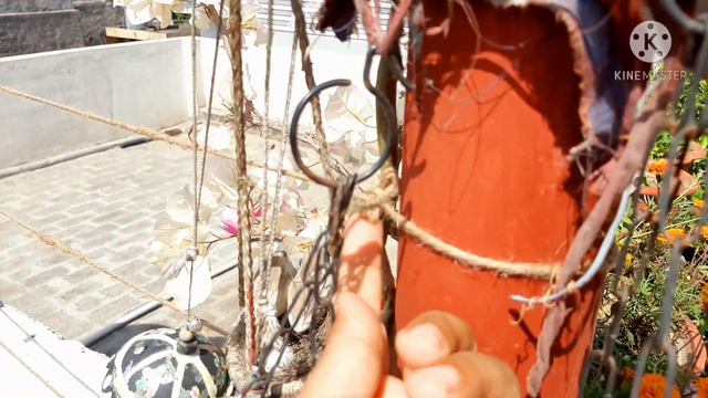 Bye Bye Winter Garden🌺.|| Summer Vegetables And Flowers Growth🍅🥒🌶 || Indian Terrace Garden Ideas