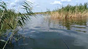 Рыбалка на озере Яровое на Карасей