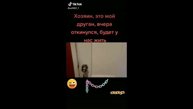 Подборка приколов из ТИК ТОКА.2 ЧАСТЬ.Советую посмотреть. смотреть онлайн