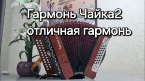 Гармонь Чайка2. Отличная гармошка.