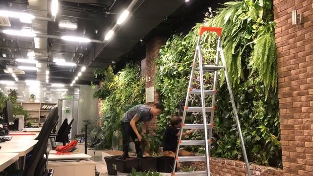 ВЕРТИКАЛЬНОЕ ОЗЕЛЕНЕНИЕ И СЕРВИСНОЕ ОБСЛУЖИВАНИЕ ФИТОСТЕН