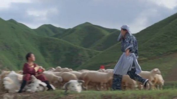 Храм Шаолинь 3: Боевые искусства Шаолиня (1986)