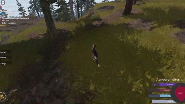 Wolf Gameplay Cenozoic Survival Roblox смотреть онлайн