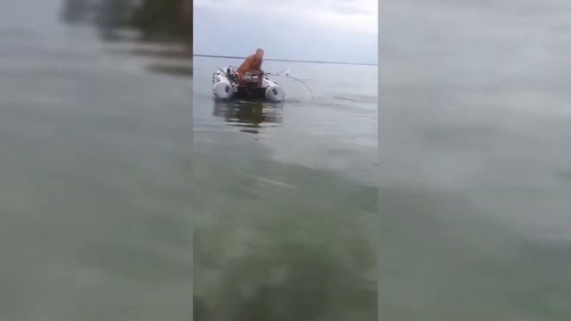 Во время пандемии Рыбалку никто не отменял! смотреть онлайн