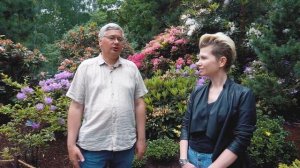 Как вырастить рододендрон в саду? Лучшие сорта рододендронов // Цветущие кустарники 16+
