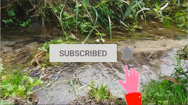 Чудесная и Красивая музыка! Сборник Лучших Мелодий от которых Душа улетает в небо смотреть онлайн