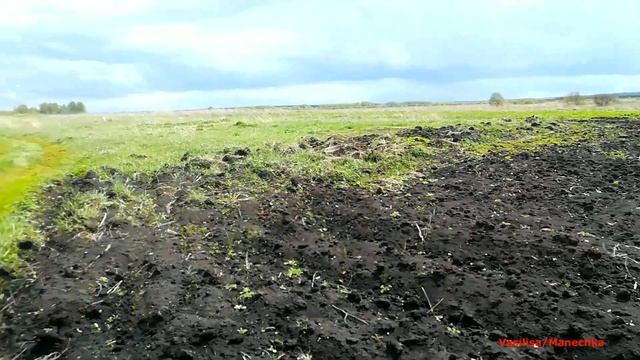 Обзор сада после зимы/Часть 1/Моя любимая дача смотреть онлайн