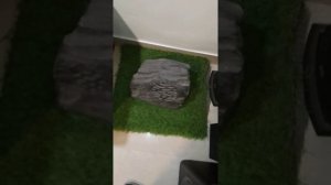 unboxing New Speakers of Polk Brand || Model No MXT90 || Full Review, sharing My Experience #new #