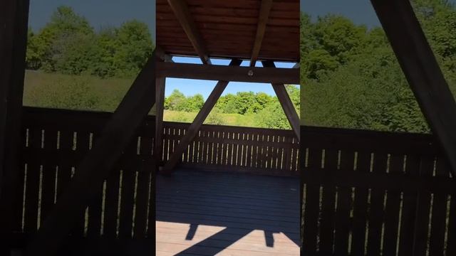 Экотропа «Западный Котлин» со смотровой площадкой смотреть онлайн