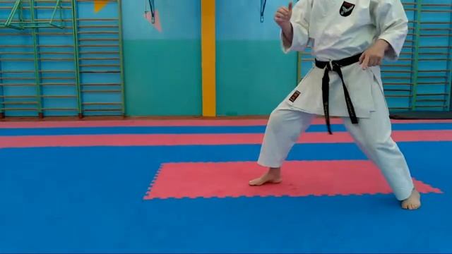 Karate Seminar - Семинар по каратэ: стойки и перемещения