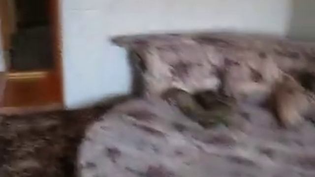 сдам дом Нахабино +79636729123 смотреть онлайн