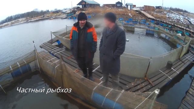 Озеро Удомля. Опасно? смотреть онлайн