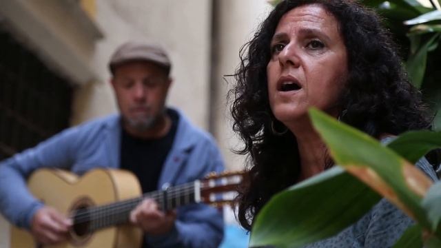 ZAMBRA en sus orígenes: "LUZ DE LUNA" смотреть онлайн