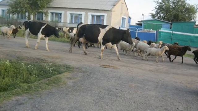 Село Новороссийское моя малая родина смотреть онлайн
