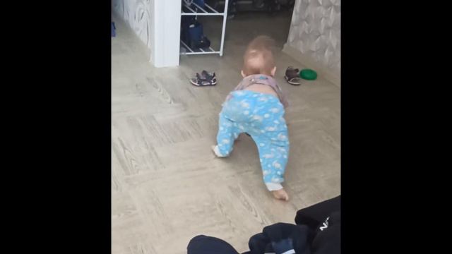 Малыш смешно ползает / Funny baby crawling смотреть онлайн
