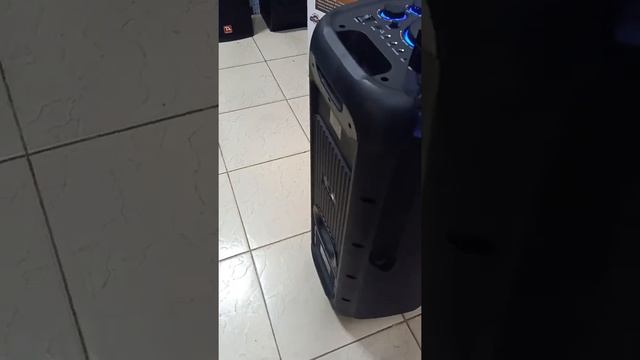 Digivolt Dual 10" Party Box Bluetooth Speaker смотреть онлайн