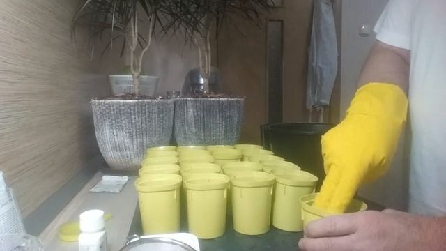 ПЕРЕЦ ГОРЬКИЙ, ПЕРЕЦ СЛАДКИЙ смотреть онлайн