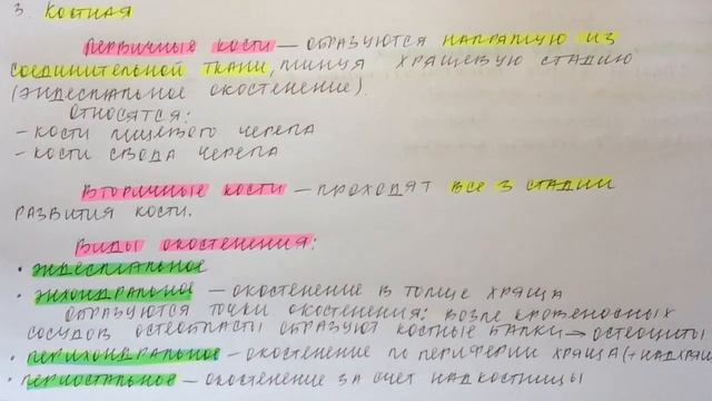 Билет 091. СТАДИИ РАЗВИТИЯ КОСТЕЙ. КОСТИ ПЕРВИЧНЫЕ И ВТОРИЧНЫЕ. ВИДЫ ОКОСТЕНЕНИЯ. смотреть онлайн
