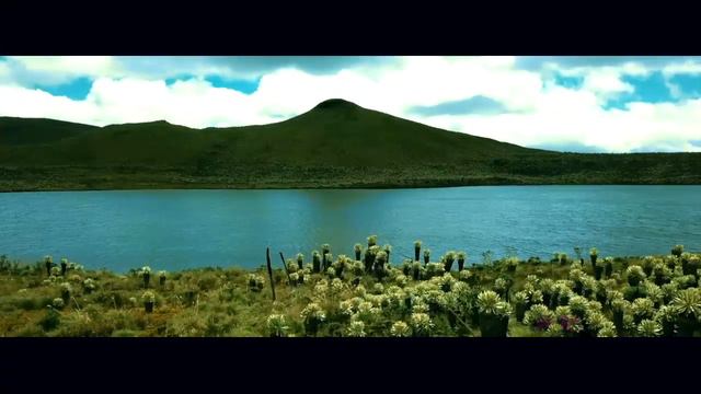 CANCION-RESERVA ECOLOGICA EL ANGEL (Carlos Benavides) смотреть онлайн
