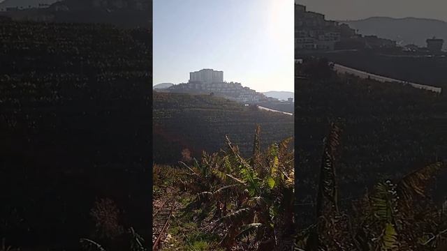 прогулка к подножию Торосских гор смотреть онлайн
