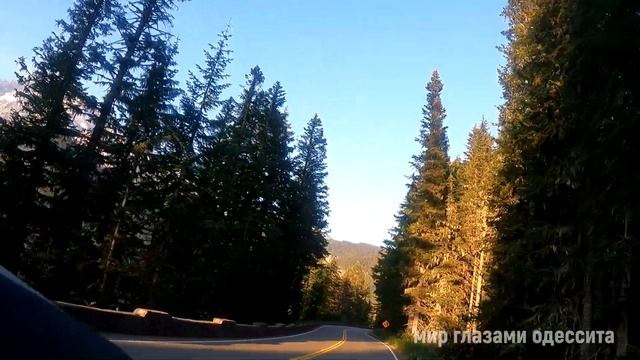 Путешествие в горах на машине 4K | Горная трасса в США | Природа штата Вашингтон смотреть онлайн