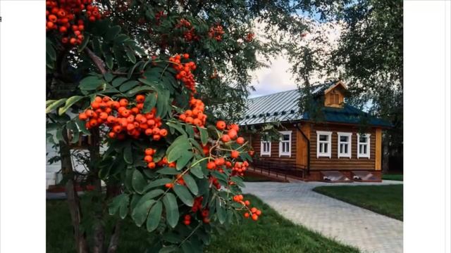 «Зачем сажать бесполезную ягоду».Как россияне объяснили американцу зачем на даче нужна рябина. смотреть онлайн