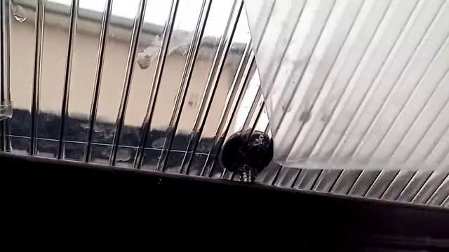 Встановлення полікарбонатного покриття на ексклюзивну металоконструкцію навісу