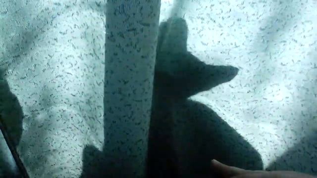 Теневое шоу от Софы смотреть онлайн
