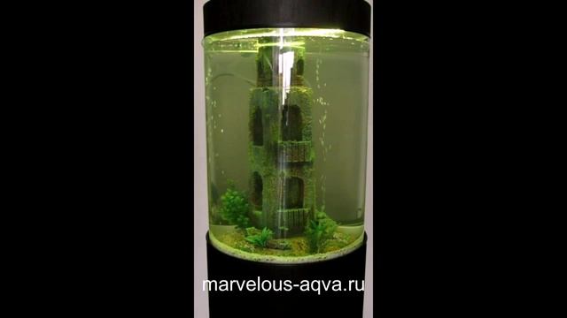 Аквариум цилиндрический Marvelous Aqva смотреть онлайн