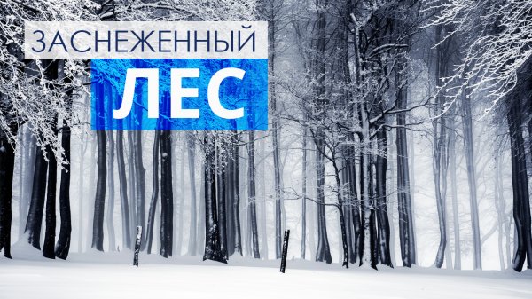 Заснеженный Лес - Расслабляющее Зимнее Видео