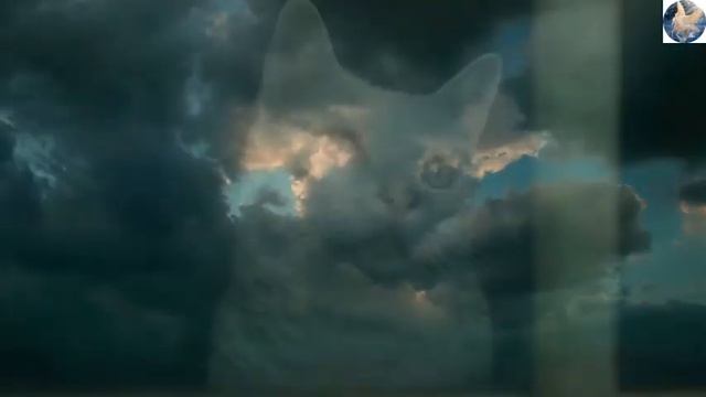 Я научилась просто мудро жить... Анна Ахматова. Читаем любимые стихи для сердца и души... смотреть онлайн