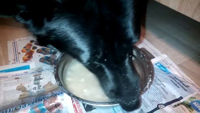 Лапландер кушает суп)