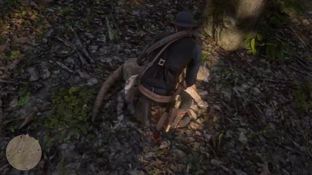 Skin Deep/Zoologist: Florida Panther - Red Dead Redemption 2 смотреть онлайн