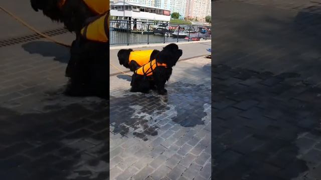 Проводим наше ежегодное благотворительное мероприятие для детей из интернатов. смотреть онлайн